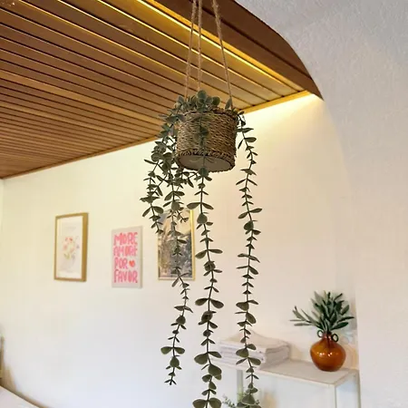מלון Dreischlaeger Hof