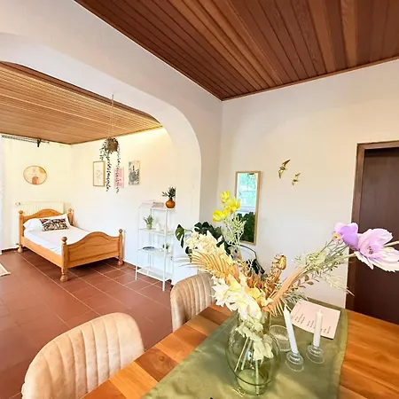 Dreischlaeger Hof מלון 3*