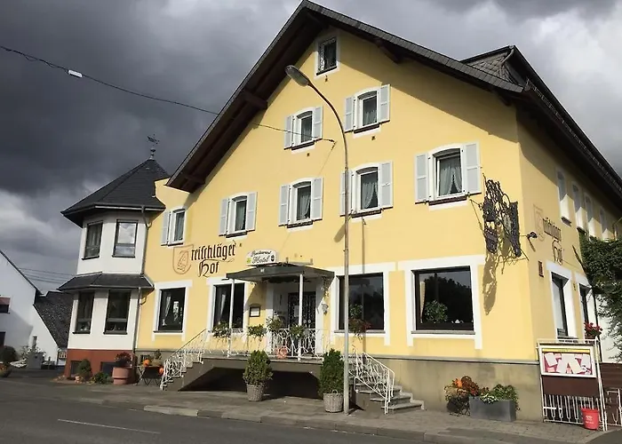 Hotel Dreischlaeger Hof Neustadt (Wied)