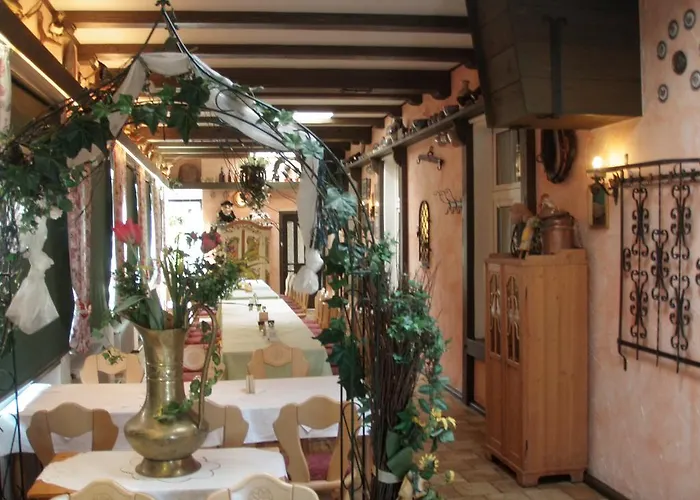 Hotel Dreischlaeger Hof Neustadt (Wied)