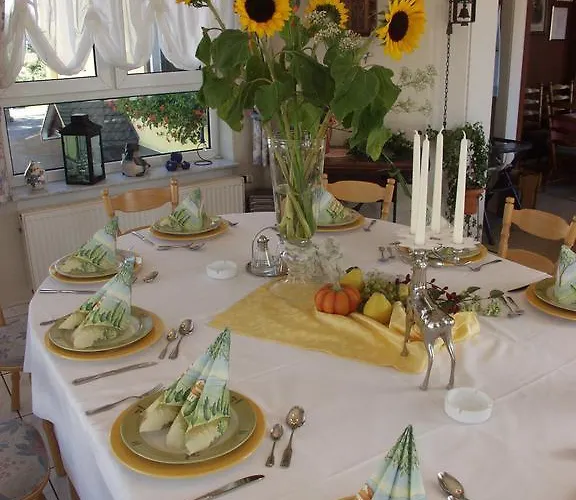 Hotel Dreischlaeger Hof 3*